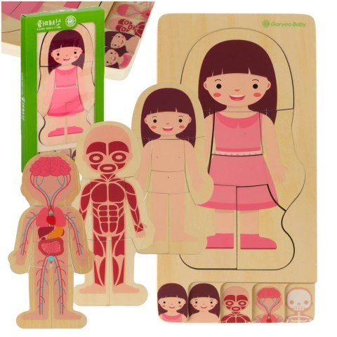 Puzzle drewniane warstwowe budowa ciała montessori dziewczynka Kik Sp. z o. o. Sp. k. Puzzle drewniane warstwowe budowa ciała montessori dziewczynka Kik Sp. z o. o. Sp. k.