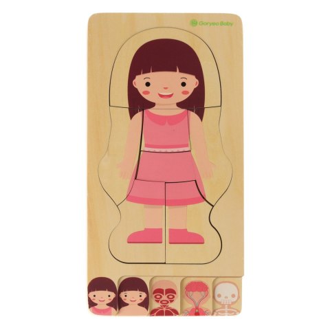 Puzzle drewniane warstwowe budowa ciała montessori dziewczynka Kik Sp. z o. o. Sp. k. Puzzle drewniane warstwowe budowa ciała montessori dziewczynka Kik Sp. z o. o. Sp. k.