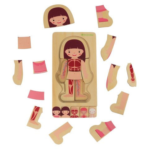 Puzzle drewniane warstwowe budowa ciała montessori dziewczynka Kik Sp. z o. o. Sp. k. Puzzle drewniane warstwowe budowa ciała montessori dziewczynka Kik Sp. z o. o. Sp. k.
