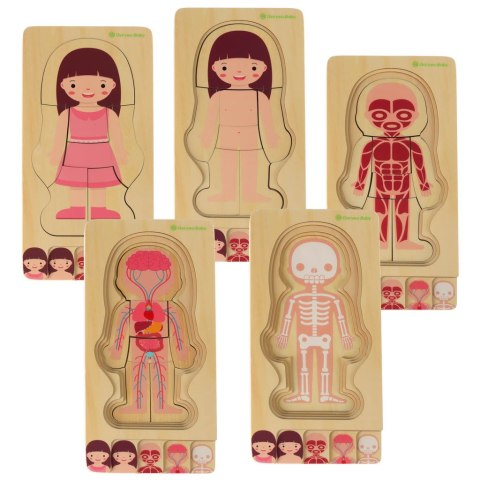 Puzzle drewniane warstwowe budowa ciała montessori dziewczynka Kik Sp. z o. o. Sp. k. Puzzle drewniane warstwowe budowa ciała montessori dziewczynka Kik Sp. z o. o. Sp. k.