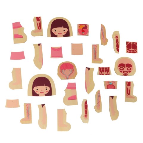 Puzzle drewniane warstwowe budowa ciała montessori dziewczynka Kik Sp. z o. o. Sp. k. Puzzle drewniane warstwowe budowa ciała montessori dziewczynka Kik Sp. z o. o. Sp. k.