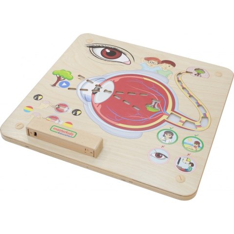 Masterkidz MASTERKIDZ Tablica Edukacyjna Zmysł Wzroku Montessori Masterkidz MASTERKIDZ Tablica Edukacyjna Zmysł Wzroku Montessori