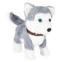 Piesek interaktywny na smyczy szczeka chodzi rusza ogonem Husky Kik Sp. z o. o. Sp. k.