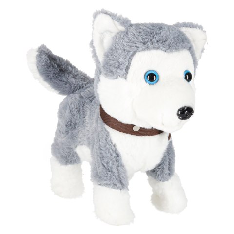 Piesek interaktywny na smyczy szczeka chodzi rusza ogonem Husky Kik Sp. z o. o. Sp. k. Piesek interaktywny na smyczy szczeka chodzi rusza ogonem Husky Kik Sp. z o. o. Sp. k.