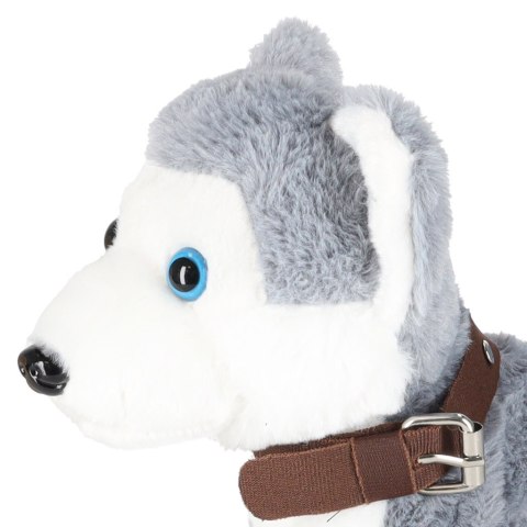 Piesek interaktywny na smyczy szczeka chodzi rusza ogonem Husky Kik Sp. z o. o. Sp. k. Piesek interaktywny na smyczy szczeka chodzi rusza ogonem Husky Kik Sp. z o. o. Sp. k.