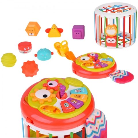Woopie Baby WOOPIE BABY Walec Kostka Sensoryczna Interaktywny Bębenek Woopie Baby WOOPIE BABY Walec Kostka Sensoryczna Interaktywny Bębenek