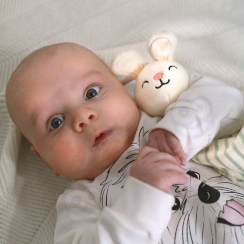 Woopie Let's Go Green WOOPIE GREEN Box Pudełko XXL Montessori Edukacyjne 7w1 Sensoryczne 0-2 Miesiące 18el. FSC