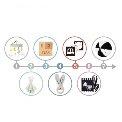 Woopie Let's Go Green WOOPIE GREEN Box Pudełko XXL Montessori Edukacyjne 7w1 Sensoryczne 0-2 Miesiące 18el. FSC