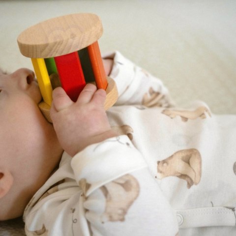 Woopie Let's Go Green WOOPIE GREEN Pudełko XXL Montessori Sensoryka i Edukacja 6w1 FSC